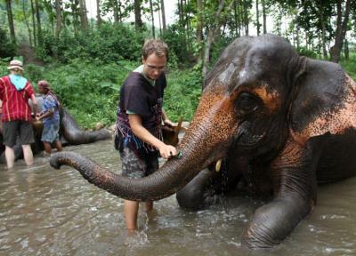 فیل سواری در تایلند؛ آیا این یک تفریح غیرانسانی است؟