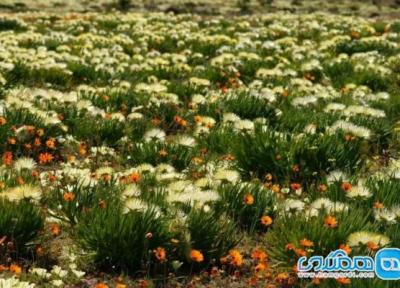 با شماری از معروف ترین جاذبه های طبیعی قاره آفریقا آشنا شویم