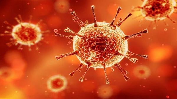 شناسایی 122 مورد نو مبتلا به کرونا ویروس در ایلام