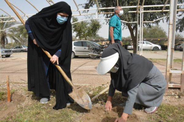 کاشت 210 اصله نهال در دانشگاه شهید چمران اهواز