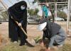 کاشت 210 اصله نهال در دانشگاه شهید چمران اهواز