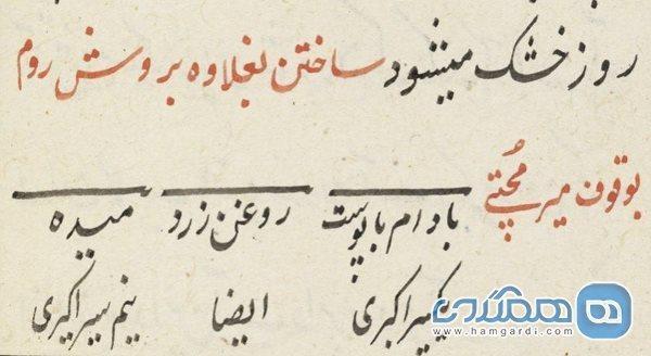 تور هند: فارسی به مدت چند قرن زبان رسمی هندوستان بوده است