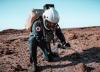 کشف نخستین گیاهی که می توان در مریخ کاشت!